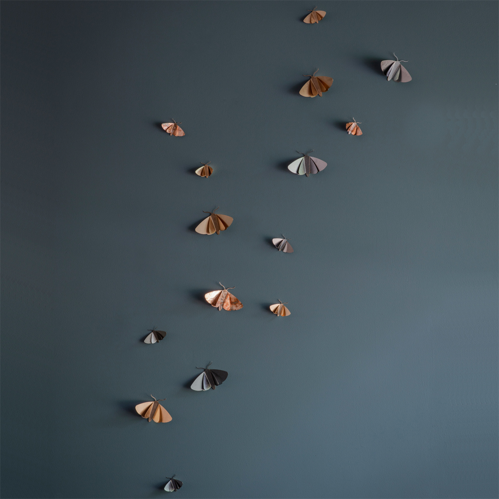 Moth Wall Decor – Eclipse – 15 moths – Square – Low Res